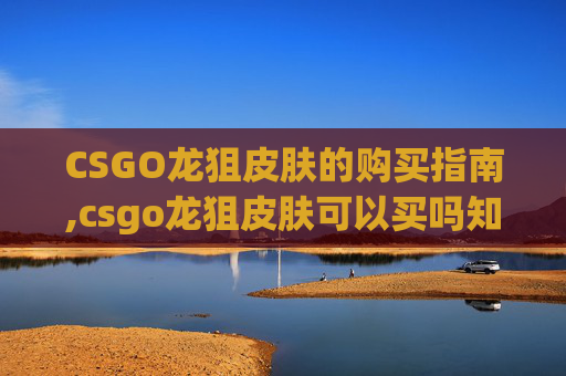 CSGO龙狙皮肤的购买指南,csgo龙狙皮肤可以买吗知乎