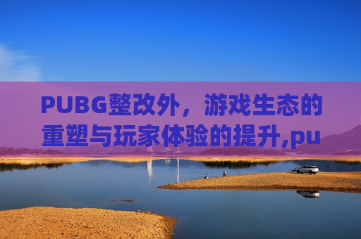 PUBG整改外，游戏生态的重塑与玩家体验的提升,pubg怎么修复游戏完整性