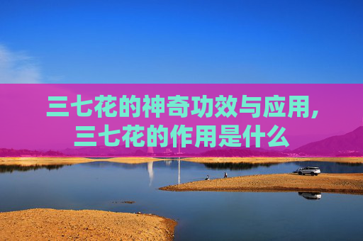 三七花的神奇功效与应用,三七花的作用是什么