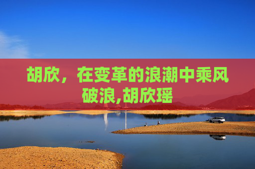 胡欣，在变革的浪潮中乘风破浪,胡欣瑶