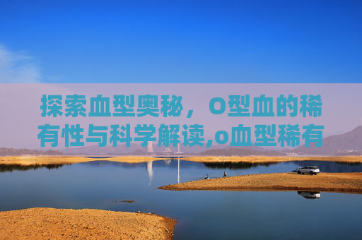 探索血型奥秘，O型血的稀有性与科学解读,o血型稀有度排第几