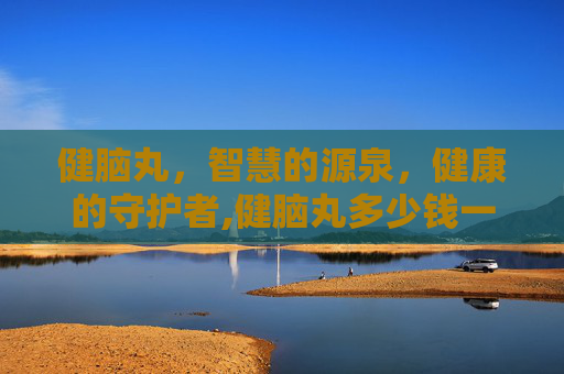 健脑丸，智慧的源泉，健康的守护者,健脑丸多少钱一盒