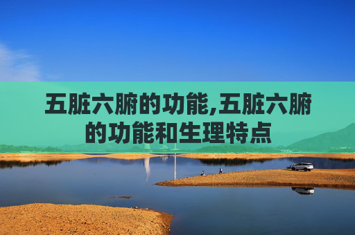 五脏六腑的功能,五脏六腑的功能和生理特点
