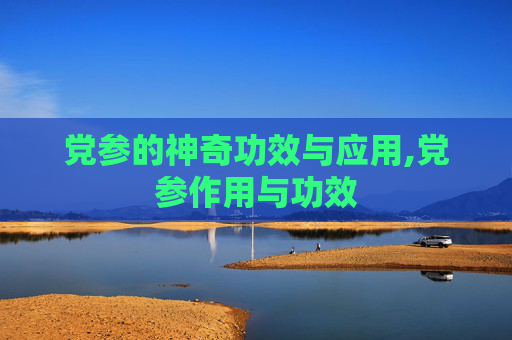 党参的神奇功效与应用,党参作用与功效