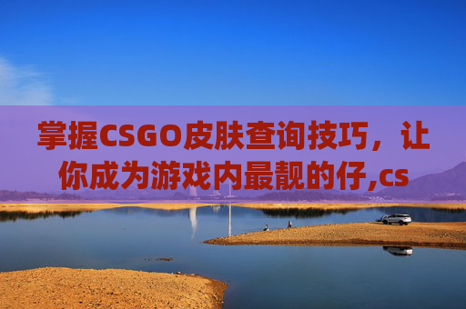 掌握CSGO皮肤查询技巧，让你成为游戏内最靓的仔,csgo皮肤价格查询