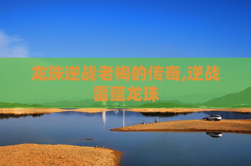 龙珠逆战老梅的传奇,逆战雷蕴龙珠