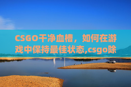 CSGO干净血槽，如何在游戏中保持最佳状态,csgo除血代码