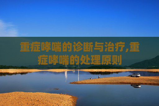 重症哮喘的诊断与治疗,重症哮喘的处理原则