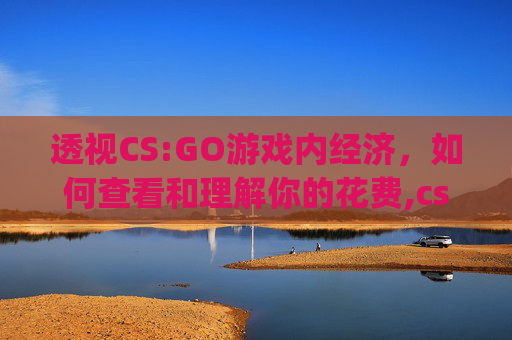 透视CS:GO游戏内经济，如何查看和理解你的花费,csgo怎么看交易记录