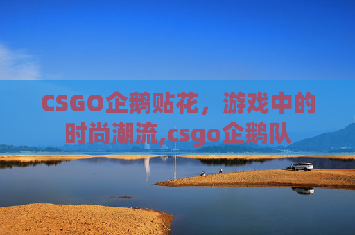 CSGO企鹅贴花，游戏中的时尚潮流,csgo企鹅队