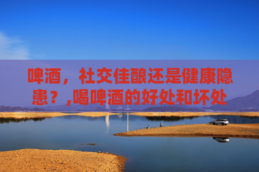 啤酒，社交佳酿还是健康隐患？,喝啤酒的好处和坏处?