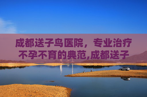 成都送子鸟医院，专业治疗不孕不育的典范,成都送子鸟医院是正规的吗