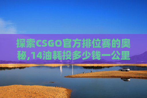 探索CSGO官方排位赛的奥秘,14油耗投多少钱一公里