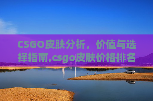 CSGO皮肤分析，价值与选择指南,csgo皮肤价格排名