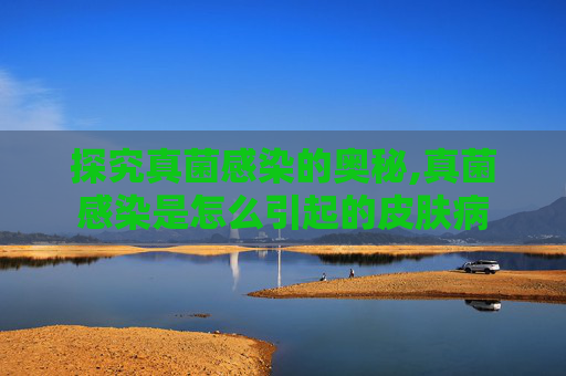探究真菌感染的奥秘,真菌感染是怎么引起的皮肤病