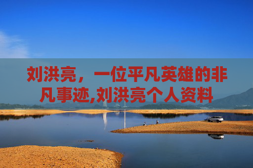 刘洪亮，一位平凡英雄的非凡事迹,刘洪亮个人资料