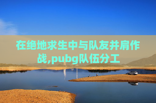 在绝地求生中与队友并肩作战,pubg队伍分工