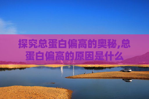 探究总蛋白偏高的奥秘,总蛋白偏高的原因是什么