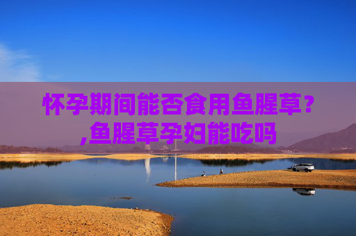 怀孕期间能否食用鱼腥草？,鱼腥草孕妇能吃吗