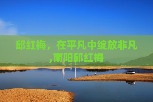 邱红梅，在平凡中绽放非凡,南阳邱红梅