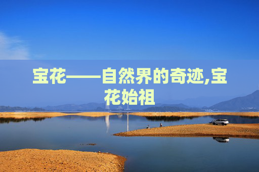 宝花——自然界的奇迹,宝花始祖