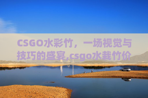CSGO水彩竹，一场视觉与技巧的盛宴,csgo水栽竹价格区间