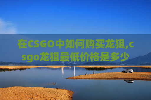 在CSGO中如何购买龙狙,csgo龙狙最低价格是多少