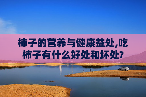 柿子的营养与健康益处,吃柿子有什么好处和坏处?