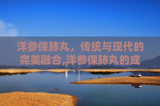 洋参保肺丸，传统与现代的完美融合,洋参保肺丸的成分配方