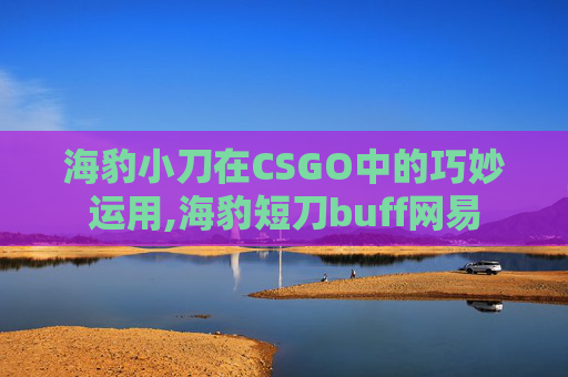 海豹小刀在CSGO中的巧妙运用,海豹短刀buff网易