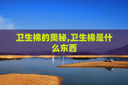 卫生棉的奥秘,卫生棉是什么东西
