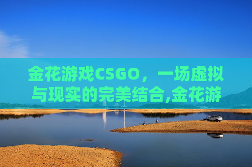 金花游戏CSGO，一场虚拟与现实的完美结合,金花游戏手游免费版