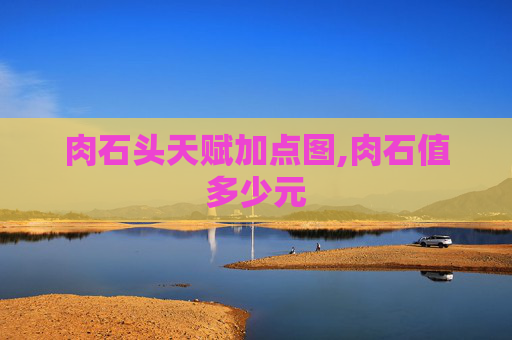 肉石头天赋加点图,肉石值多少元