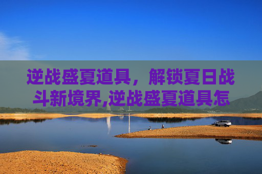 逆战盛夏道具，解锁夏日战斗新境界,逆战盛夏道具怎么获得