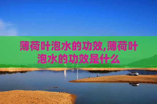 薄荷叶泡水的功效,薄荷叶泡水的功效是什么 薄荷叶泡水的功效,薄荷叶泡水的功效是什么