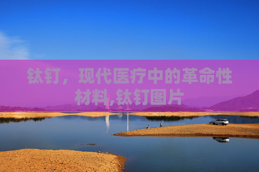 钛钉,现代医疗中的革命性材料,钛钉图片 钛钉,现代医疗中的革命性材料,钛钉图片