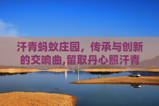 汗青蚂蚁庄园,传承与创新的交响曲,留取丹心照汗青前一句是什么 汗青蚂蚁庄园,传承与创新的交响曲,留取丹心照汗青前一句是什么
