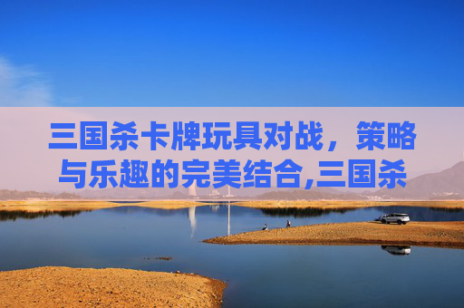 三国杀卡牌玩具对战，策略与乐趣的完美结合,三国杀卡牌的玩法