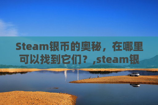 Steam银币的奥秘，在哪里可以找到它们？,steam银币在哪用