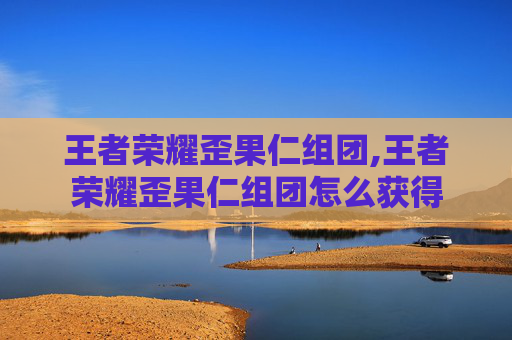 王者荣耀歪果仁组团,王者荣耀歪果仁组团怎么获得