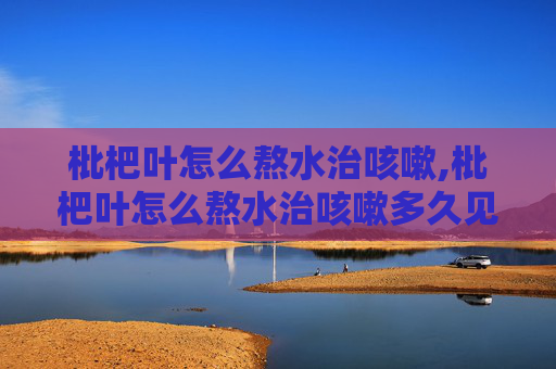 枇杷叶怎么熬水治咳嗽,枇杷叶怎么熬水治咳嗽多久见效