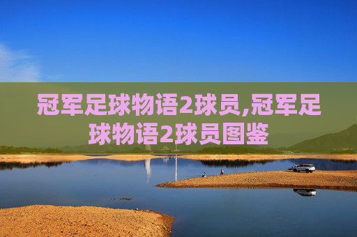 冠军足球物语2球员,冠军足球物语2球员图鉴
