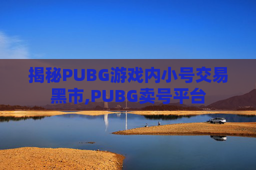 揭秘PUBG游戏内小号交易黑市,PUBG卖号平台