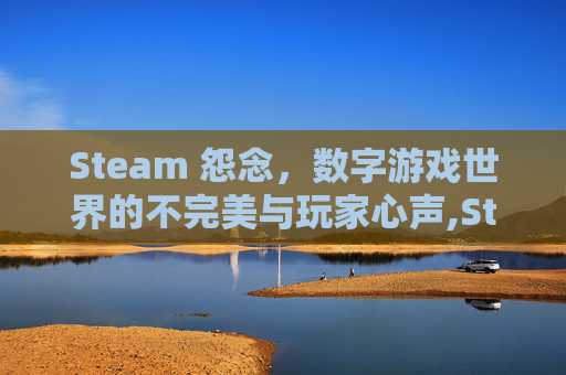 Steam 怨念，数字游戏世界的不完美与玩家心声,Steam怨念多少钱