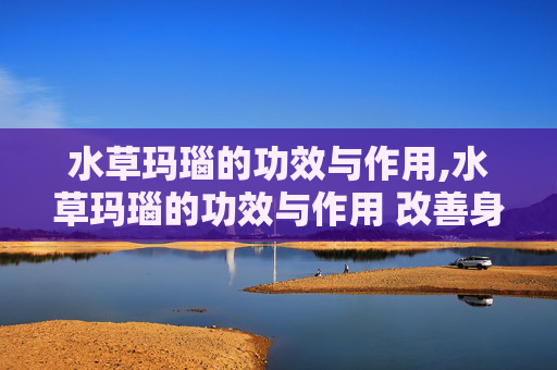 水草玛瑙的功效与作用,水草玛瑙的功效与作用 改善身体状况