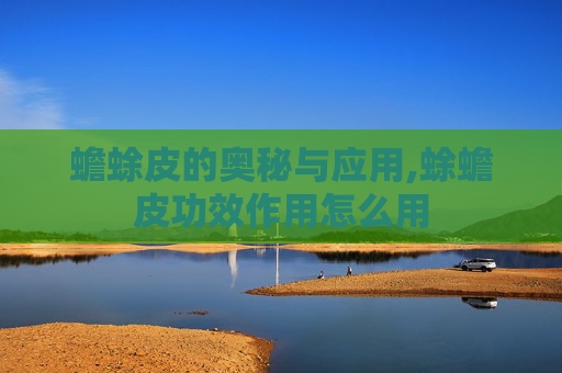 蟾蜍皮的奥秘与应用,蜍蟾皮功效作用怎么用