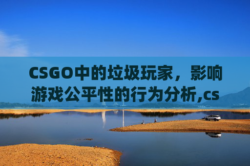 CSGO中的垃圾玩家，影响游戏公平性的行为分析,csgo十大坑