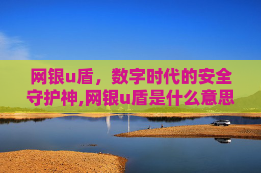 网银u盾，数字时代的安全守护神,网银u盾是什么意思