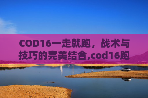 COD16一走就跑，战术与技巧的完美结合,cod16跑不起来