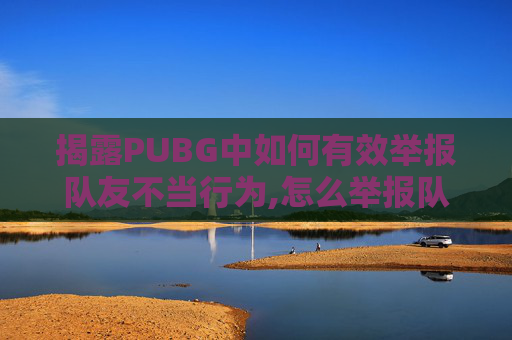 揭露PUBG中如何有效举报队友不当行为,怎么举报队友骂人